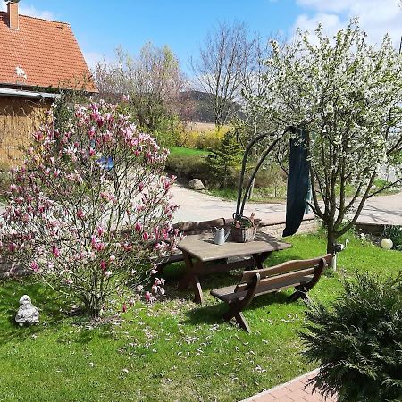 Familienfreundliche Ferienwohnung Auf Dem Lande Monteur Wohnung Hessisch Oldendorf Buitenkant foto
