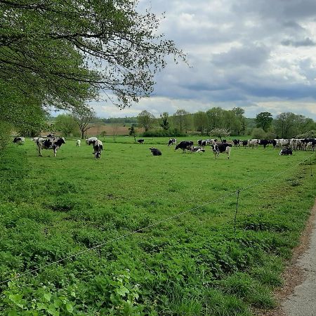 Familienfreundliche Ferienwohnung Auf Dem Lande Monteur Wohnung Hessisch Oldendorf Buitenkant foto