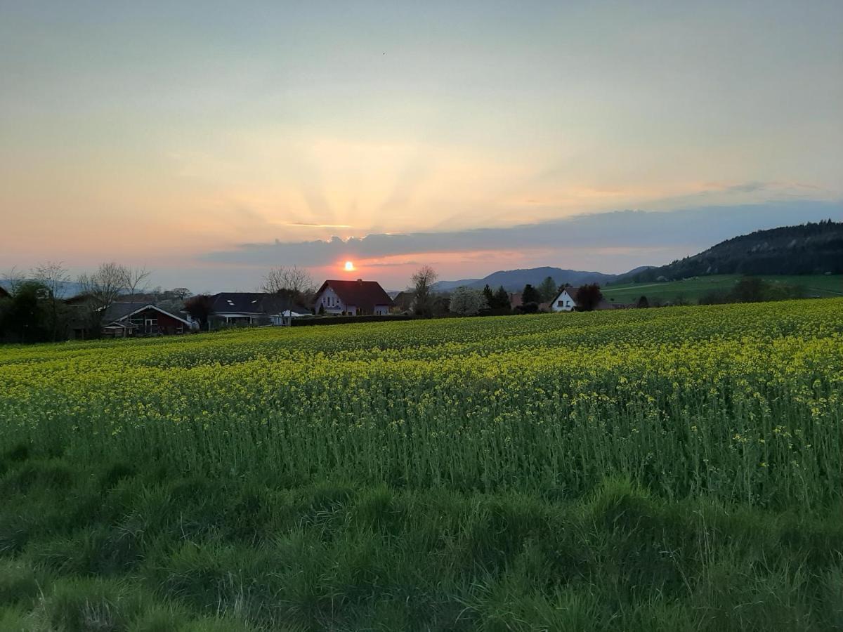 Familienfreundliche Ferienwohnung Auf Dem Lande Monteur Wohnung Hessisch Oldendorf Buitenkant foto