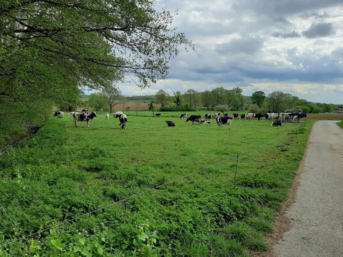 Familienfreundliche Ferienwohnung Auf Dem Lande Monteur Wohnung Hessisch Oldendorf Buitenkant foto